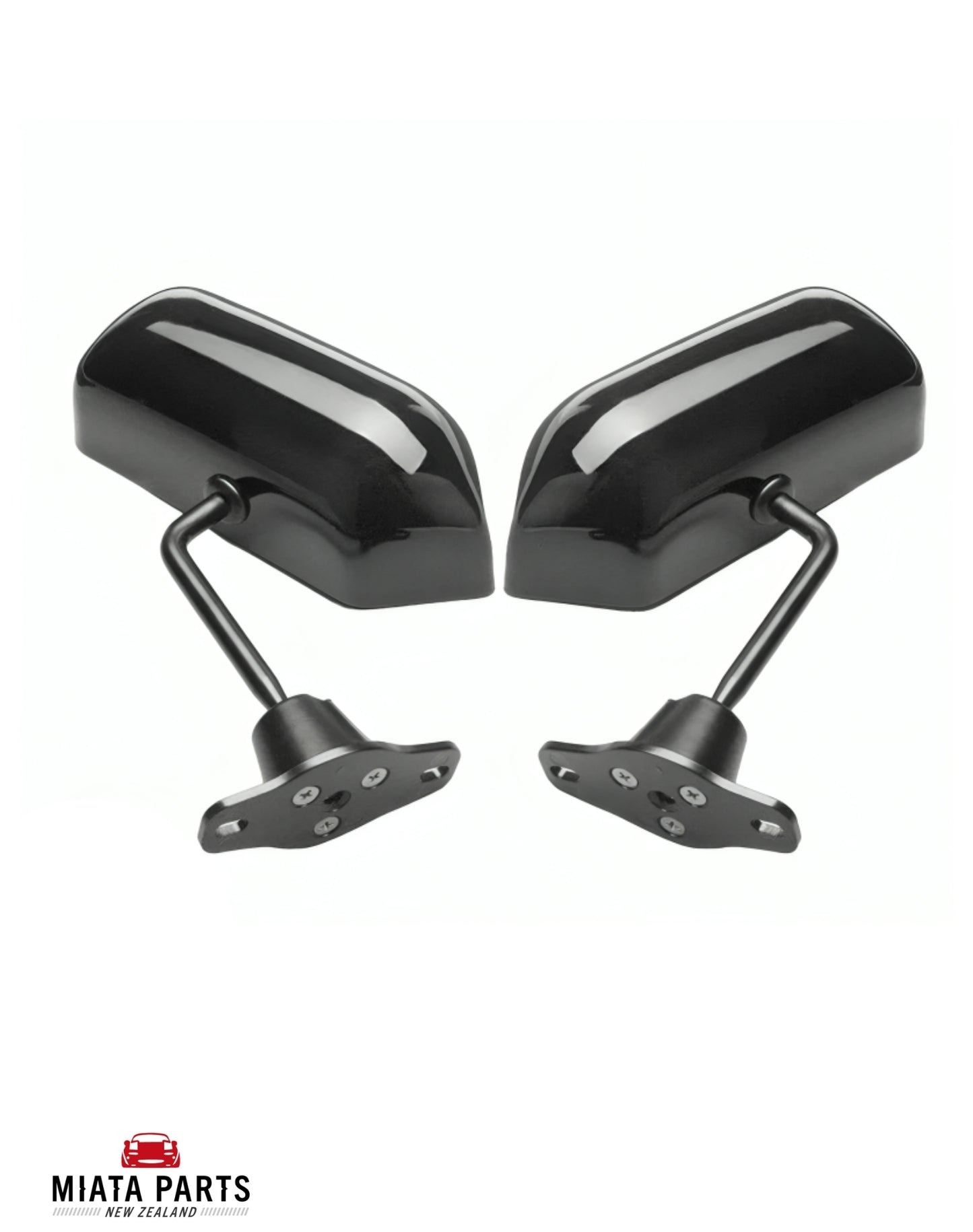 Black Wing Mirrors