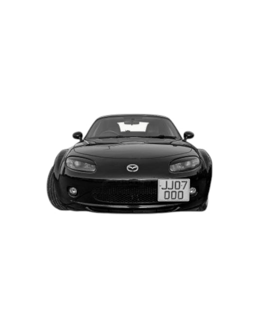 NC1 Vinyl Eyelids