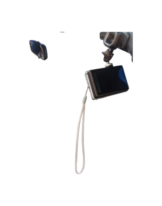 Sun Visor Camera Mount